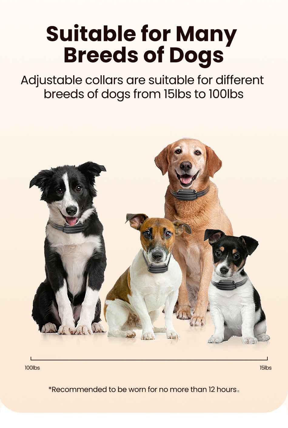 ROJECO PD800 Dog Training Collar