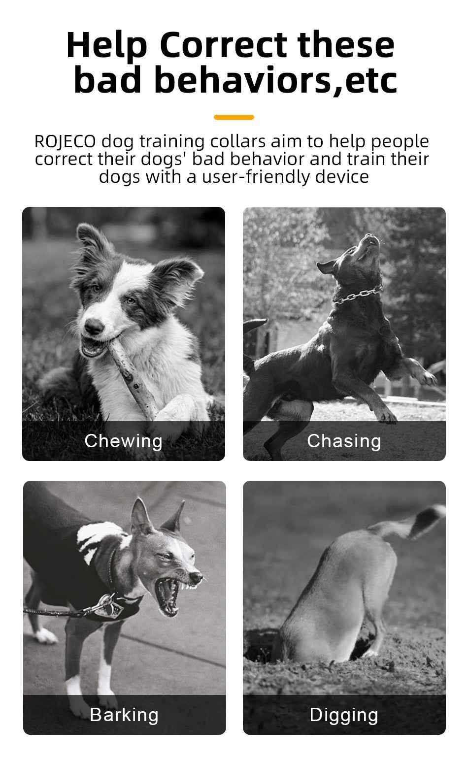ROJECO 1000m PD521 Dog Training Collar
