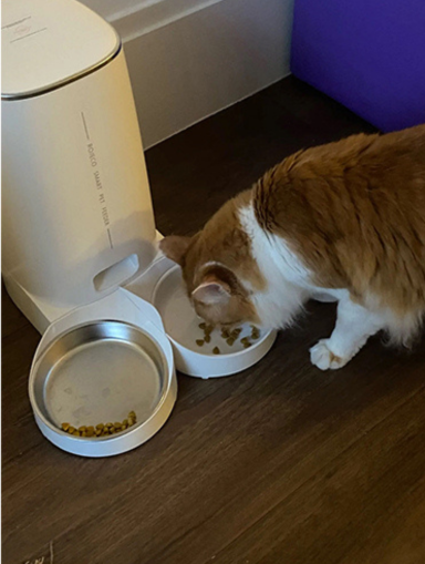 Rojeco — professional for pets — home page testimonial image 2.