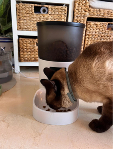 Rojeco — professional for pets — home page testimonial image 3.