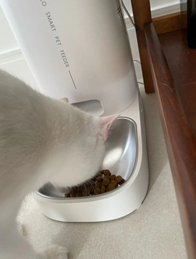 Rojeco — professional for pets — home page testimonial image 4.