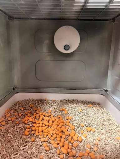 Rojeco — professional for pets — home page testimonial image 5.