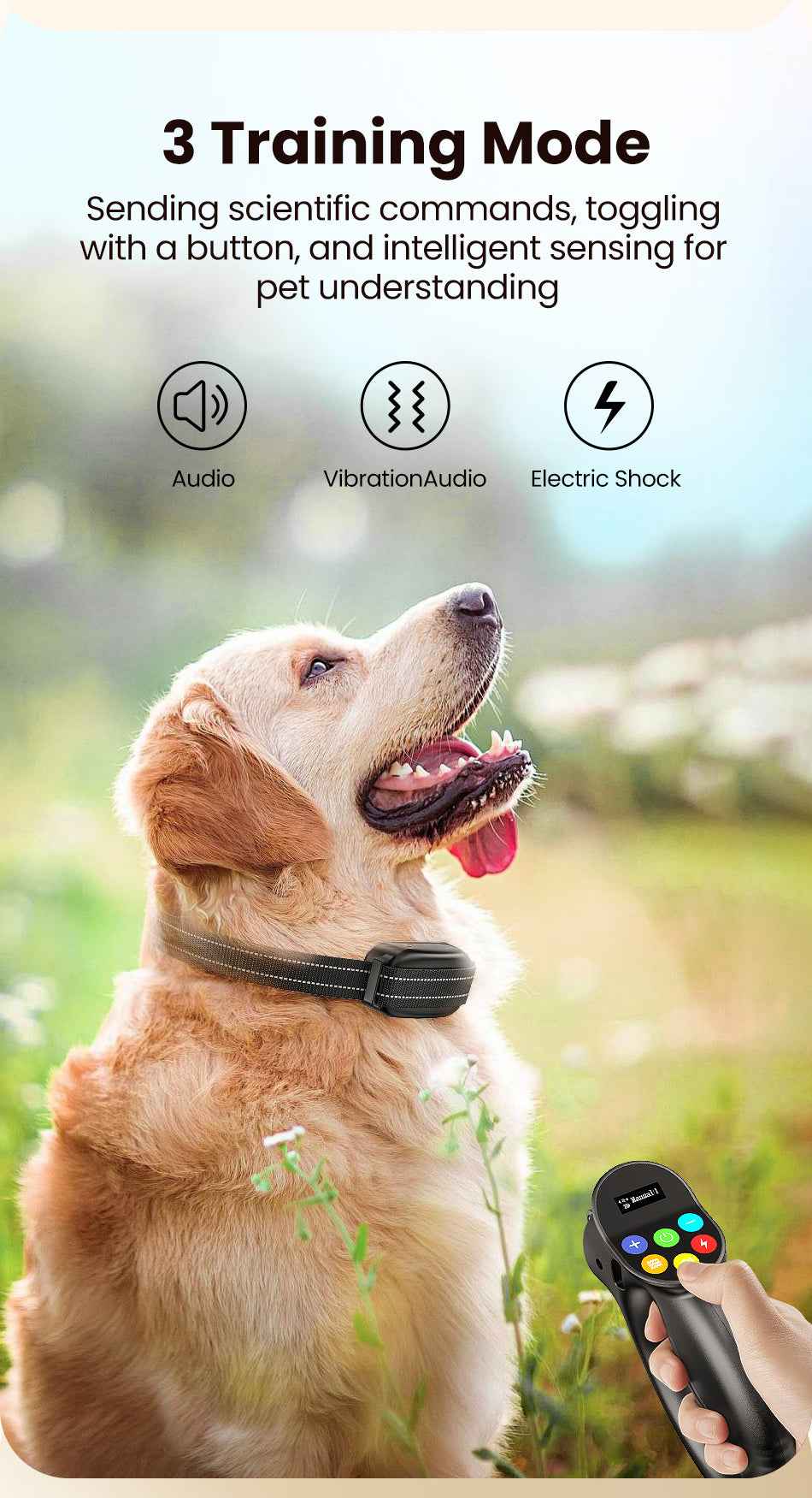 ROJECO PD800 Dog Training Collar