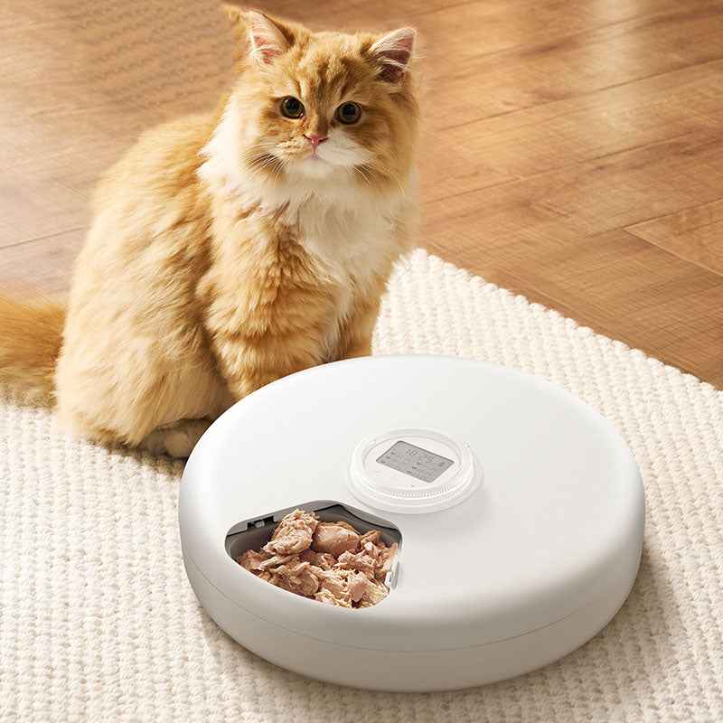 ROJECO F19 6‑Meal Cat Feeder