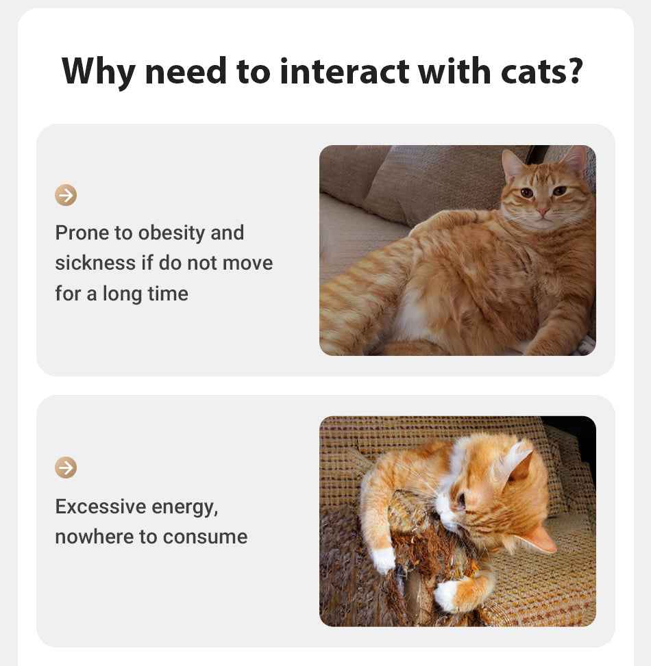 ROJECO Automatic Laser Cat Toy