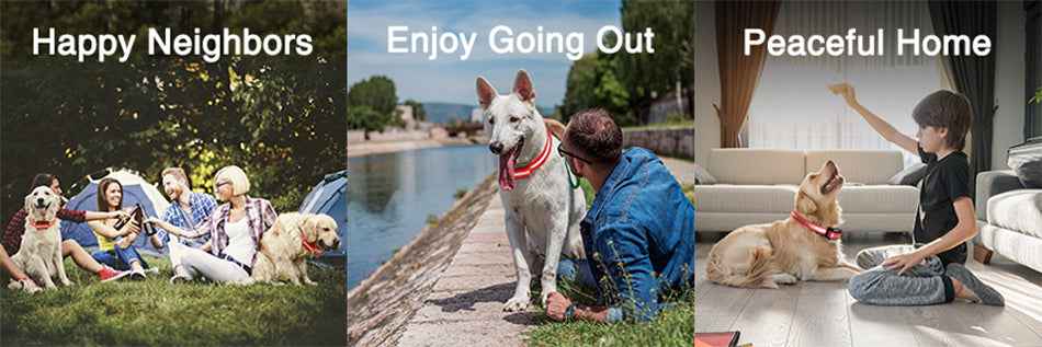 ROJECO PD529 1000m Dog Training Collar