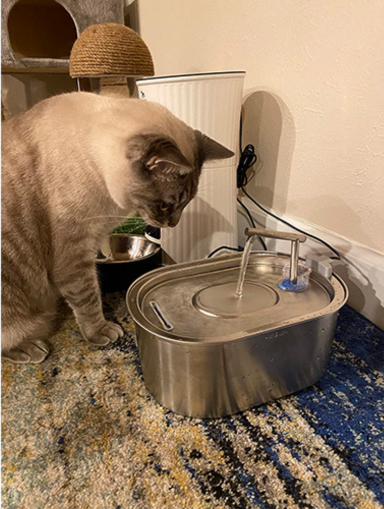 Rojeco — professional for pets — home page testimonial image 6.