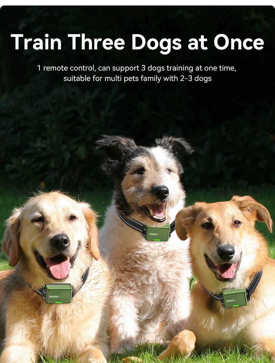 ROJECO RXGQ-04 Dog Training Collar